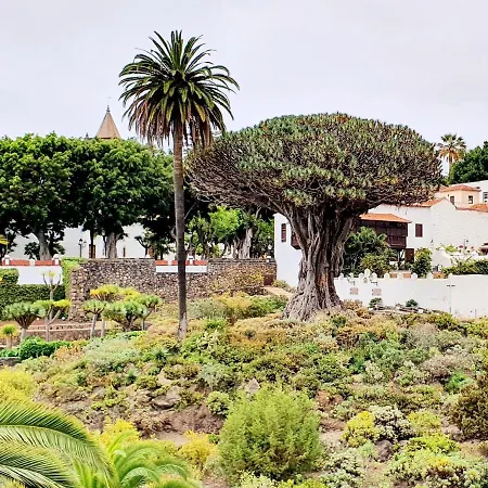 Apartament Cristi Puerto Santiago By Hrtenerife Net *